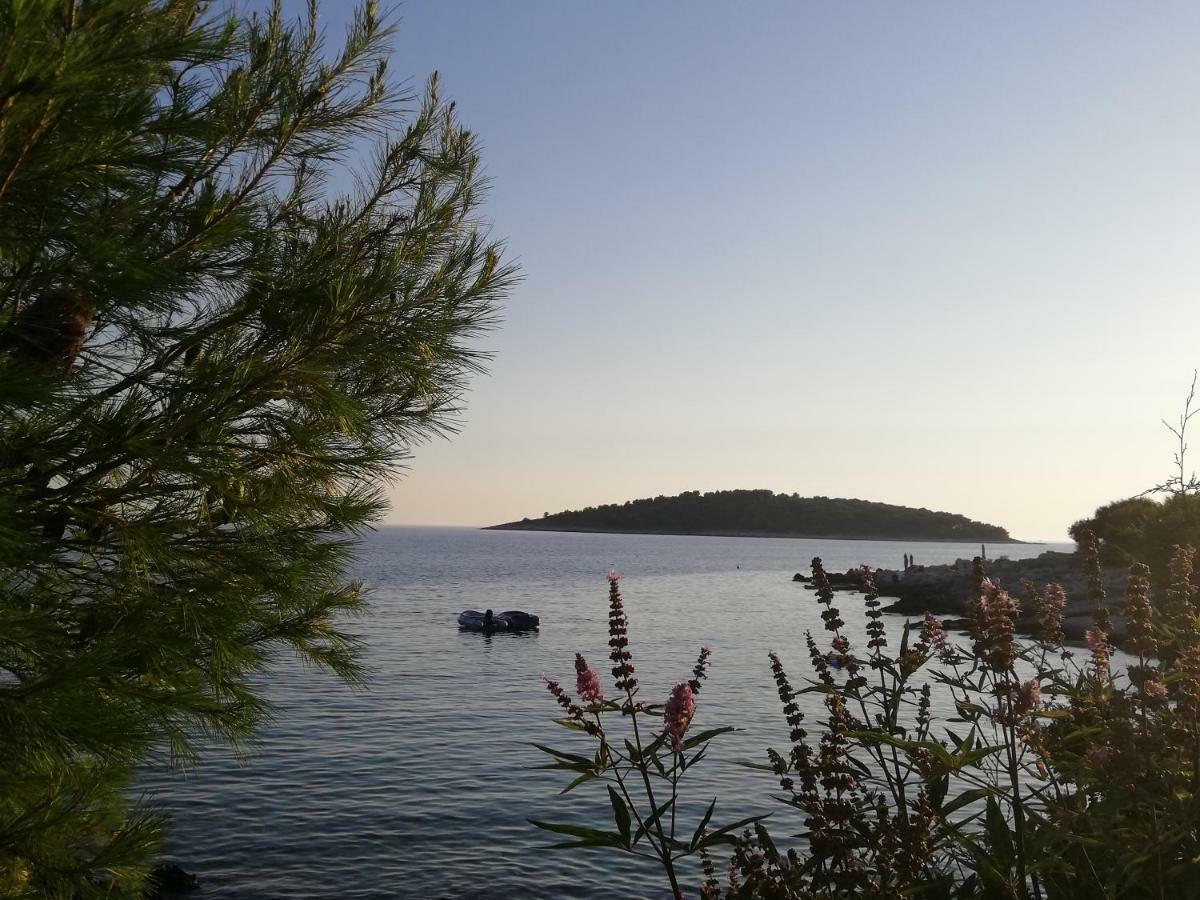 Villa Perla Dalmatica Rogoznica  Εξωτερικό φωτογραφία